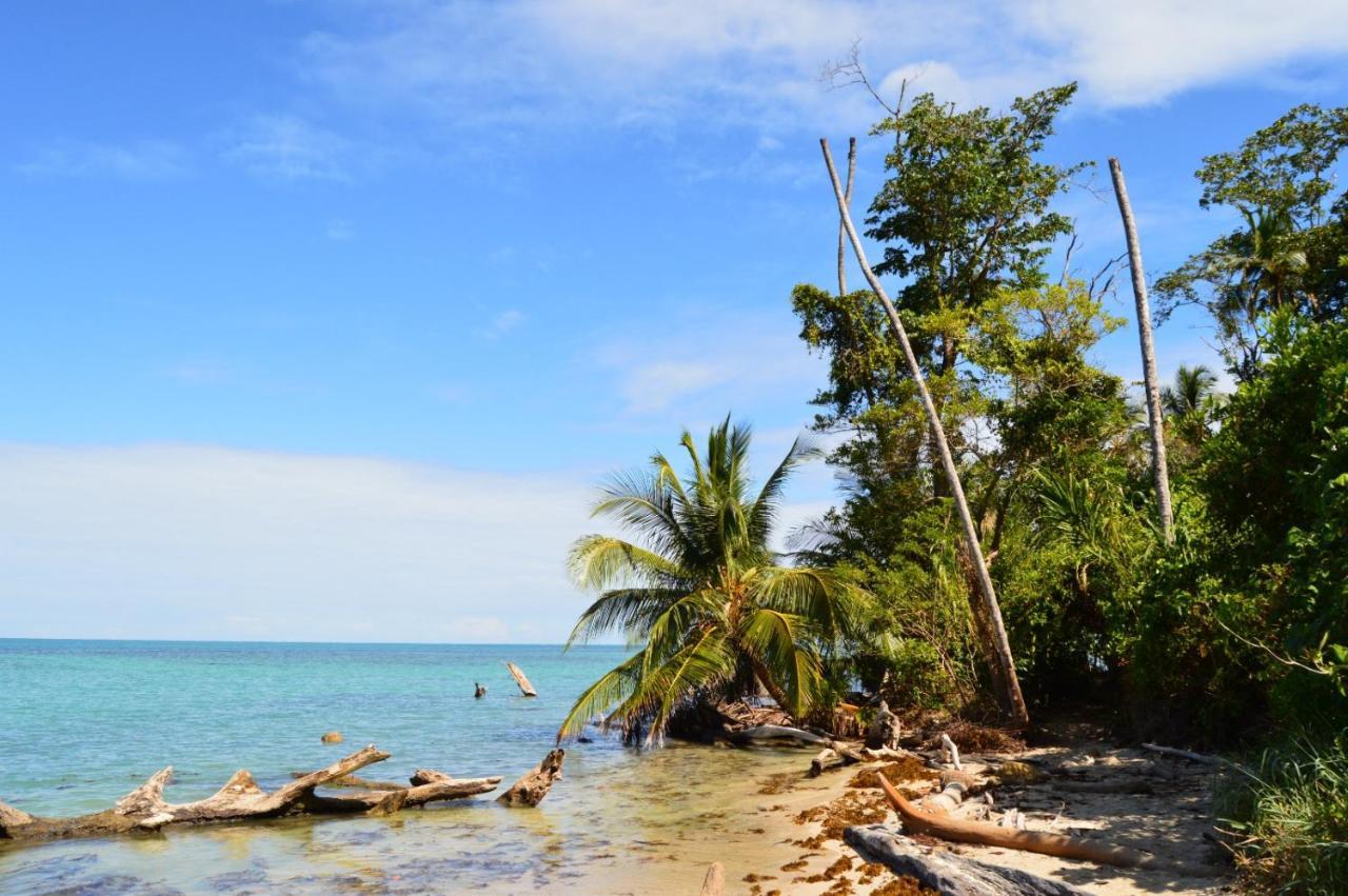 La Ruka Hostel Puerto Viejo de Talamanca Екстериор снимка