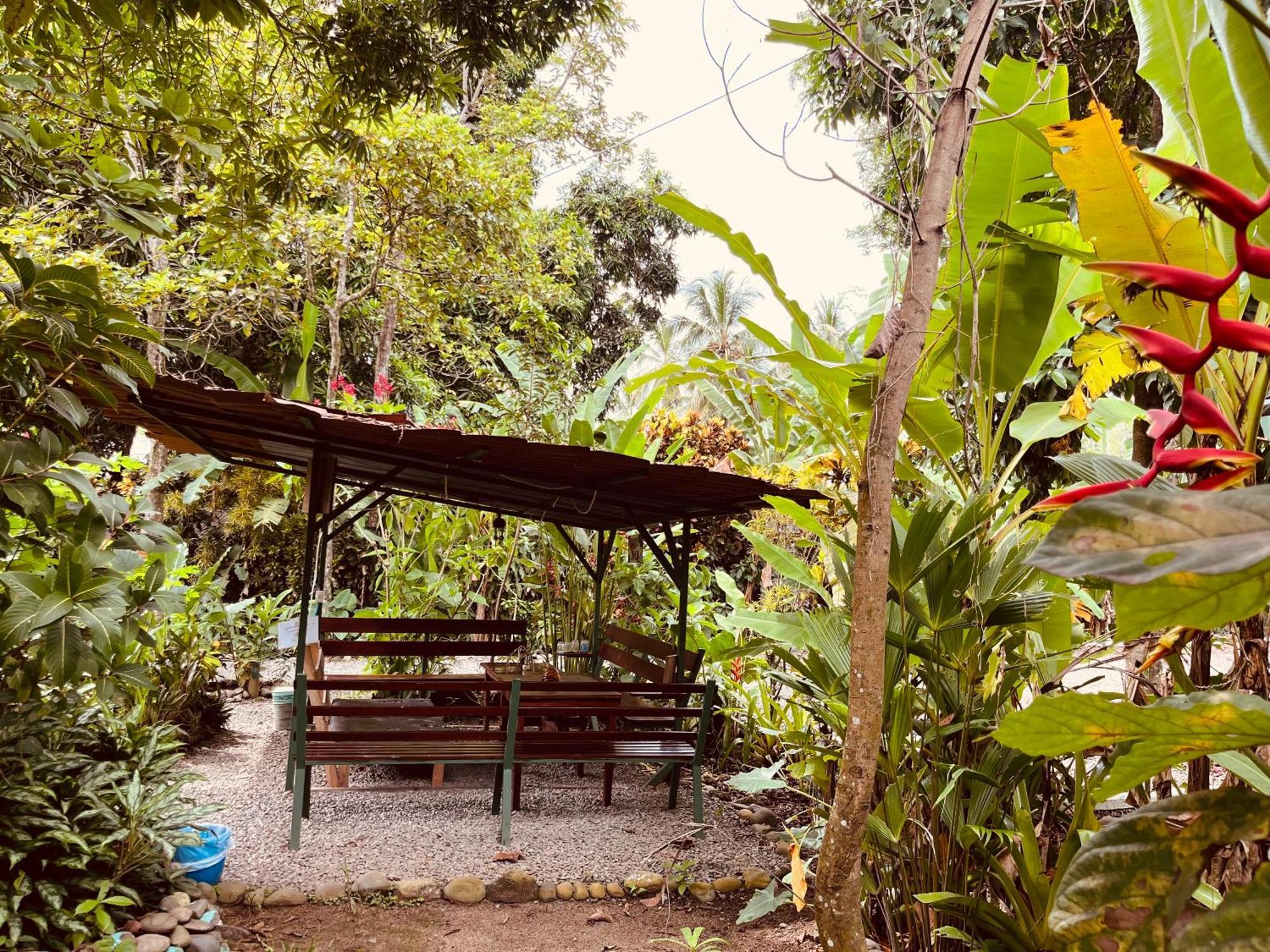 La Ruka Hostel Puerto Viejo de Talamanca Екстериор снимка