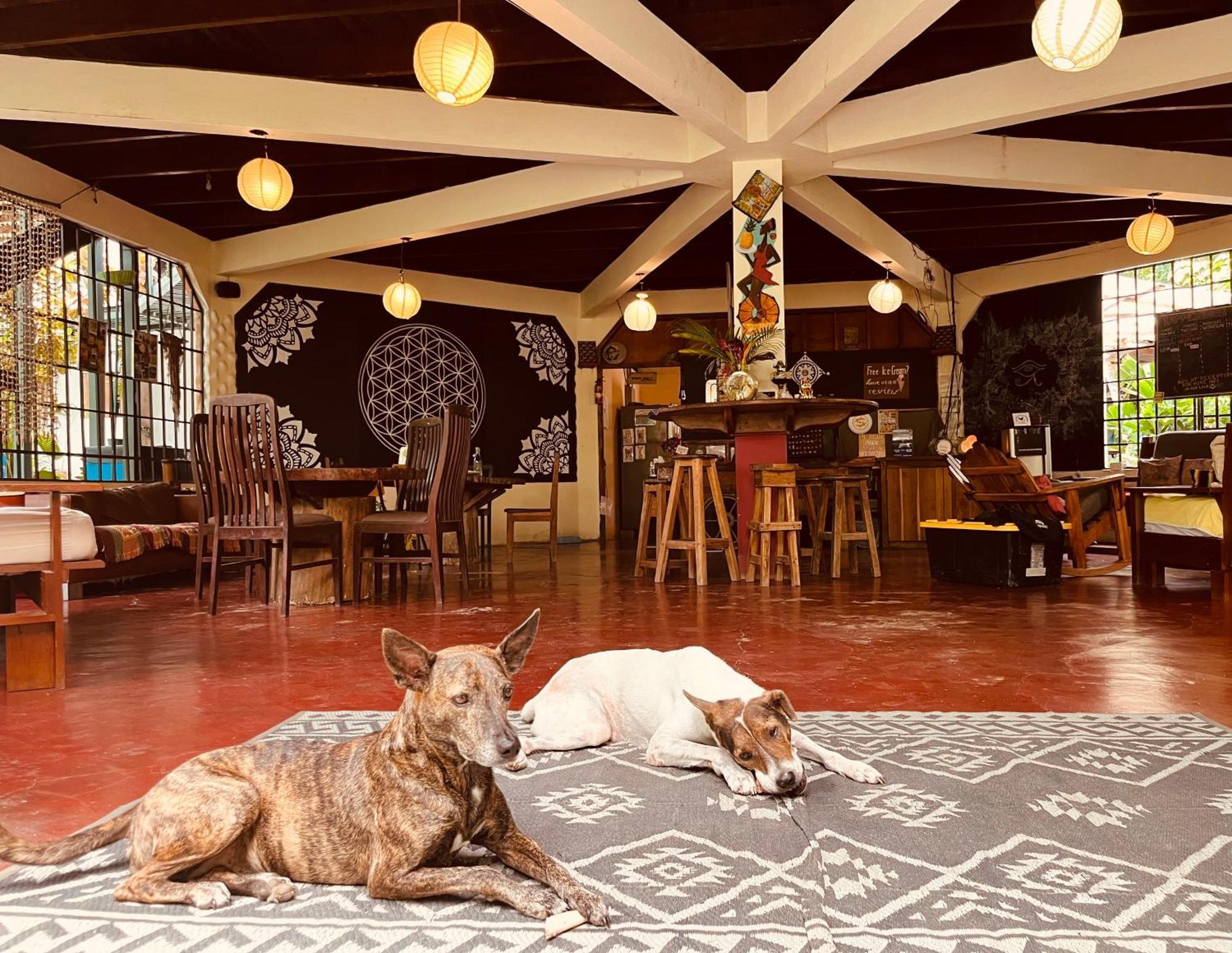 La Ruka Hostel Puerto Viejo de Talamanca Екстериор снимка
