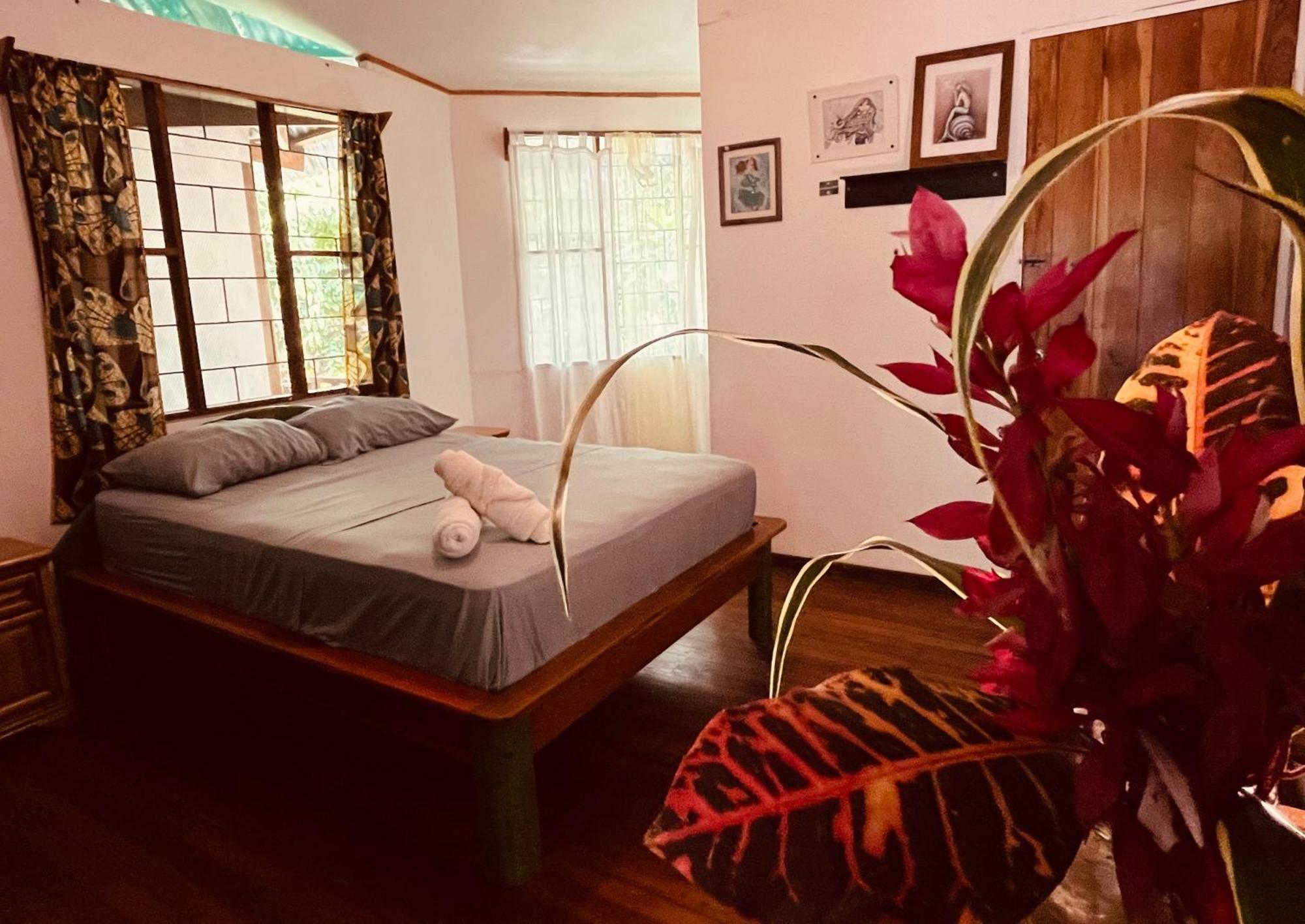 La Ruka Hostel Puerto Viejo de Talamanca Екстериор снимка